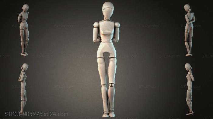 STKGI_005975 3d STL model