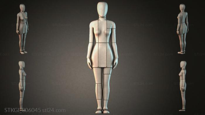 STKGI_006045 3d STL model