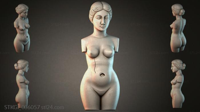 STKGI_006057 3d STL model