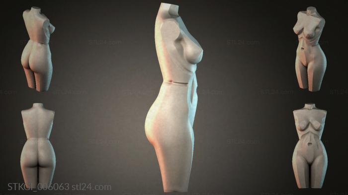 STKGI_006063 3d STL model