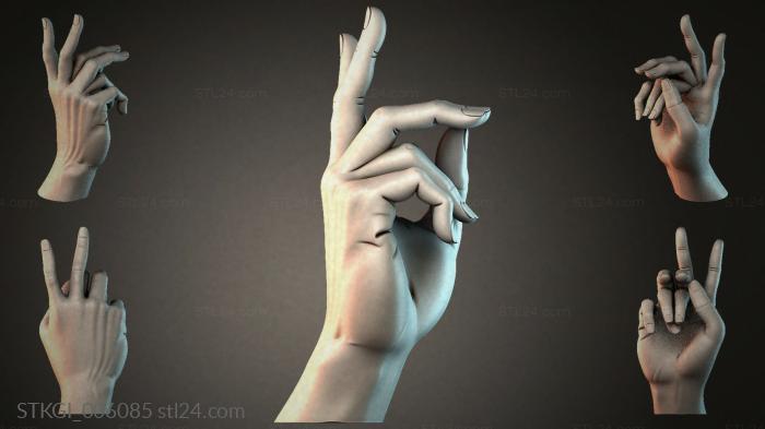 STKGI_006085 3d STL model