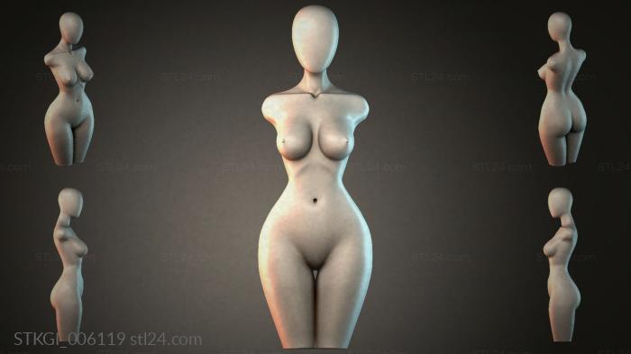 STKGI_006119 3d STL model