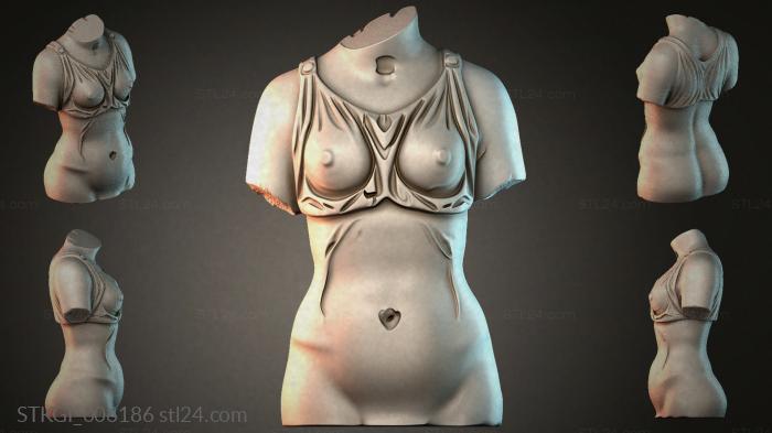 STKGI_006186 3d STL model