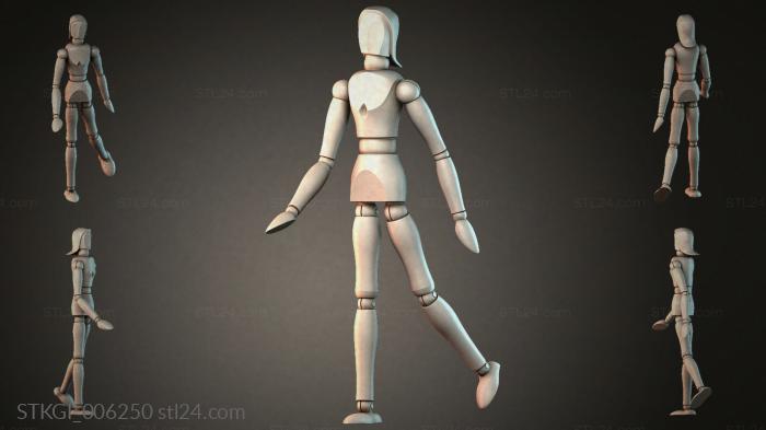 STKGI_006250 3d STL model