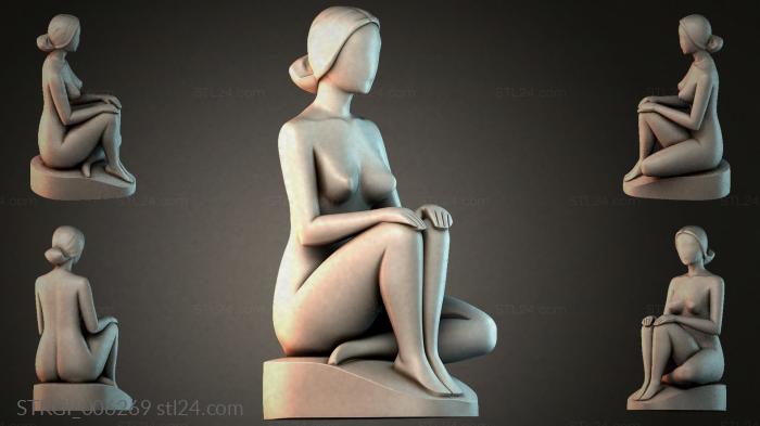 STKGI_006269 3d STL model