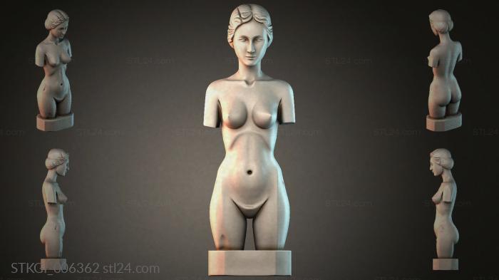 STKGI_006362 3d STL model