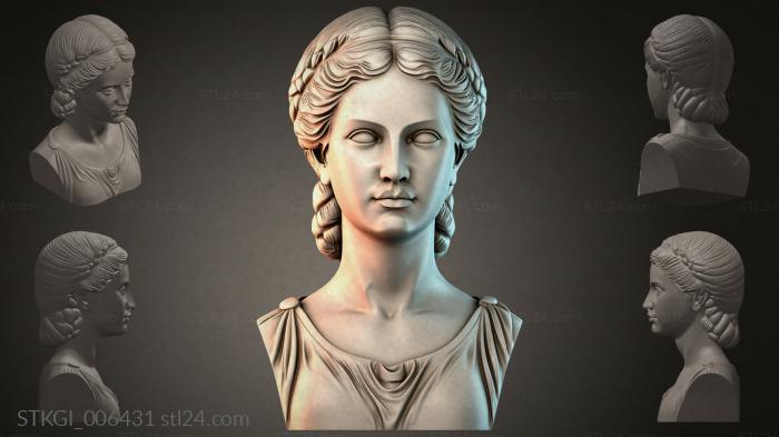 STKGI_006431 3d STL model