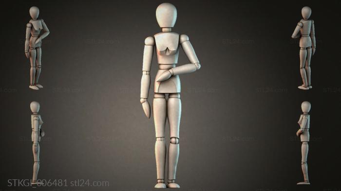 STKGI_006481 3d STL model