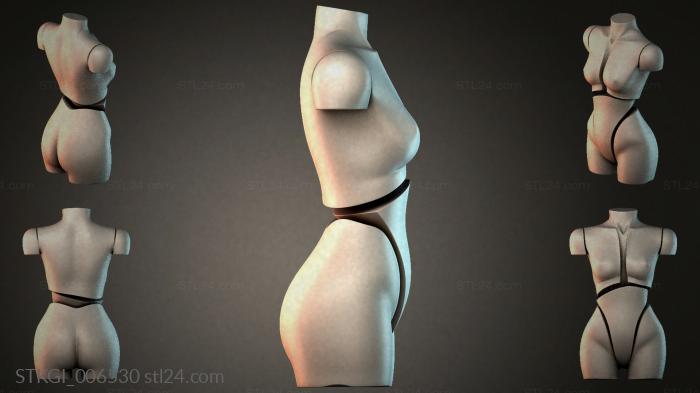 STKGI_006530 3d STL model