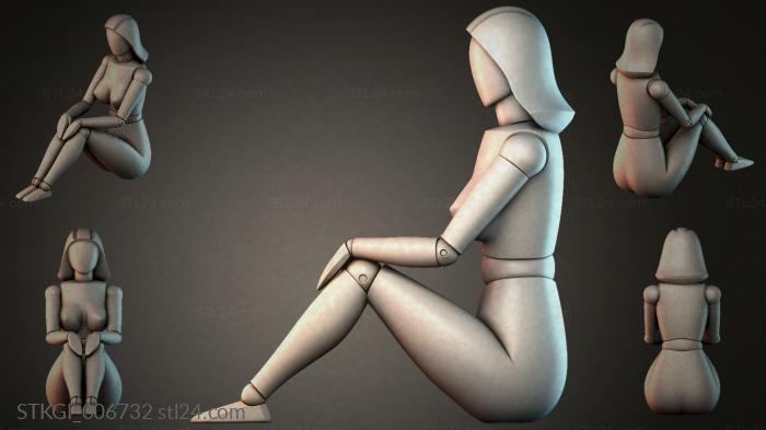 STKGI_006732 3d STL model