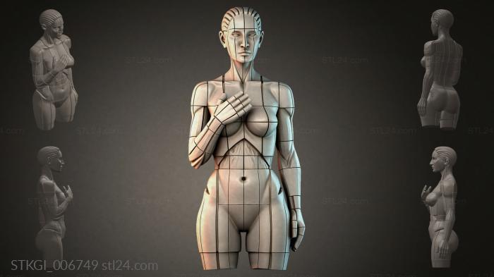 STKGI_006749 3d STL model