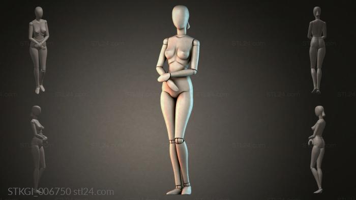 STKGI_006750 3d STL model