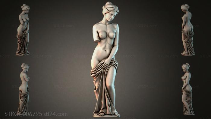 STKGI_006795 3d STL model