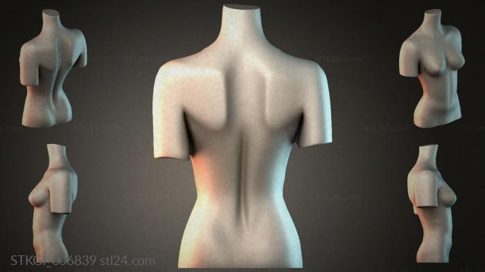 STKGI_006839 3d STL model