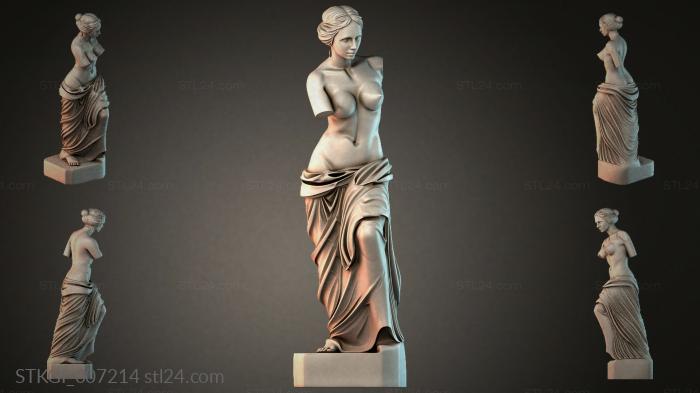 STKGI_007214 3d STL model