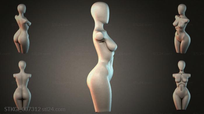 STKGI_007312 3d STL model