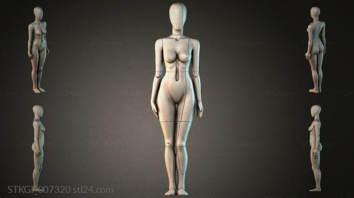 STKGI_007320 3d STL model