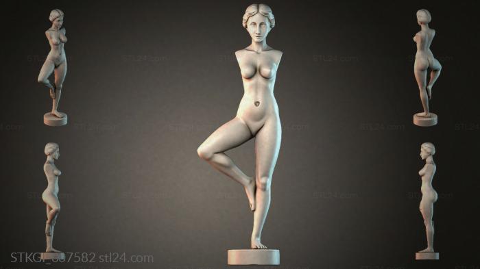 STKGI_007582 3d STL model
