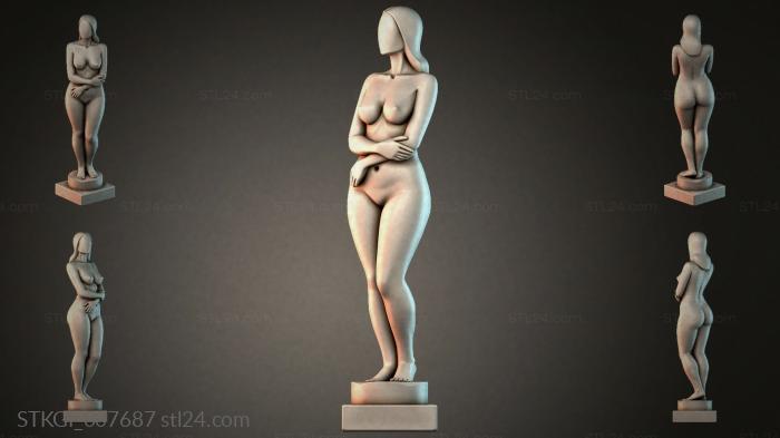 STKGI_007687 3d STL model