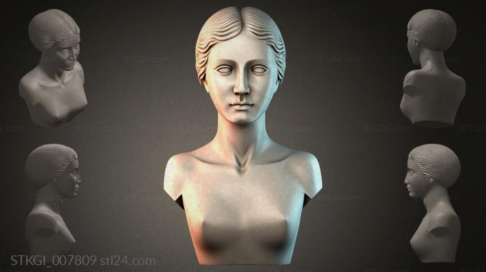STKGI_007809 3d STL model