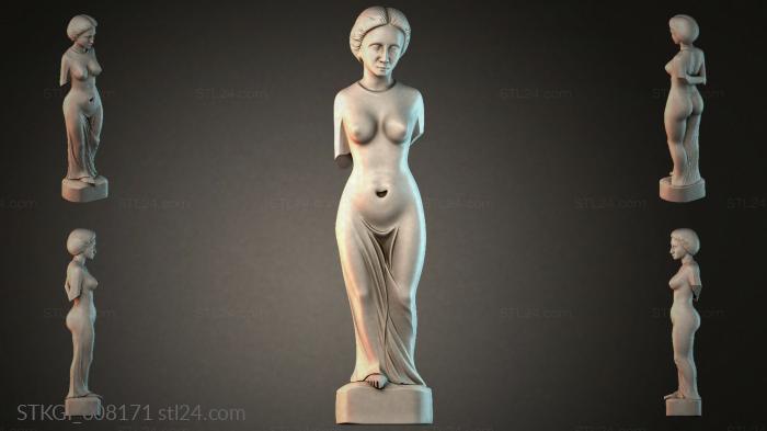 STKGI_008171 3d STL model