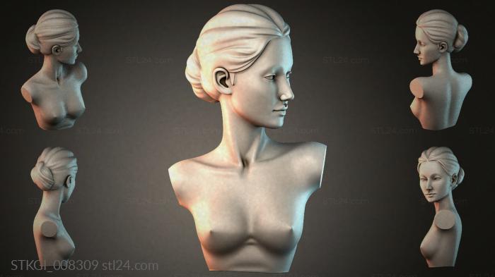 STKGI_008309 3d STL model