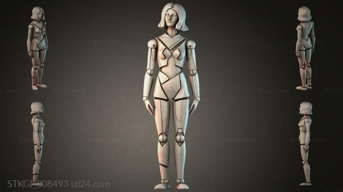 STKGI_008493 3d STL model