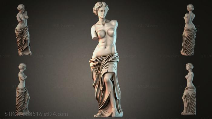 STKGI_008516 3d STL model