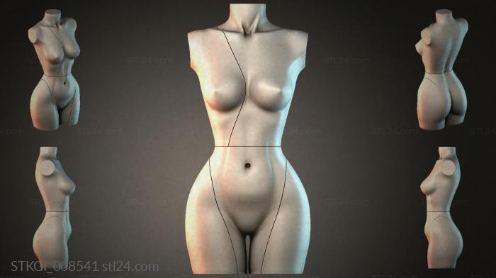 STKGI_008541 3d STL model