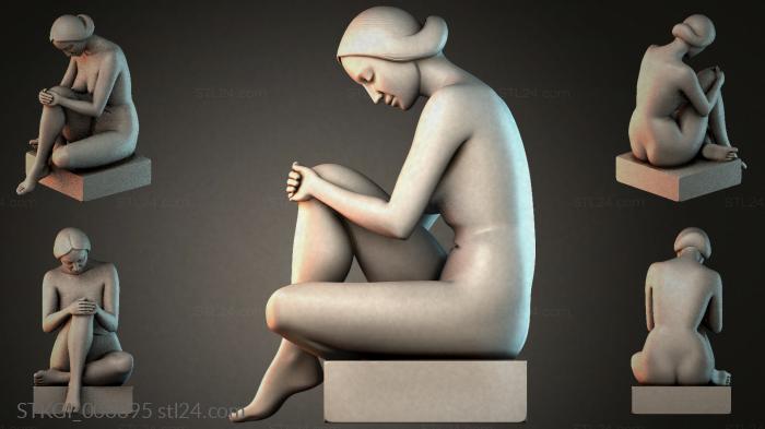 STKGI_008895 3d STL model