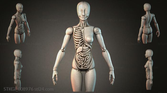 STKGI_008976 3d STL model