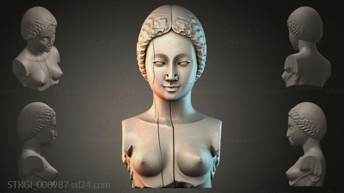 STKGI_008987 3d STL model