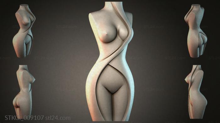 STKGI_009107 3d STL model