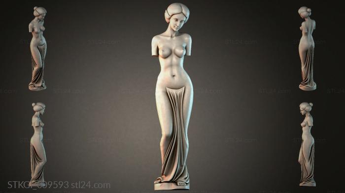 STKGI_009593 3d STL model