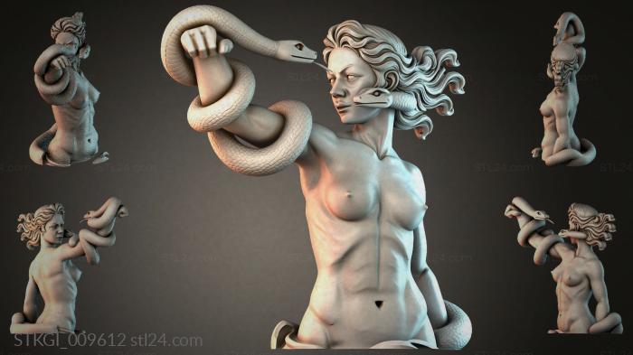 STKGI_009612 3d STL model