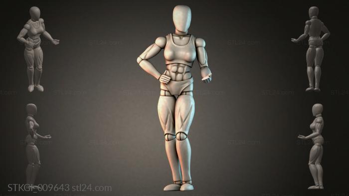 STKGI_009643 3d STL model