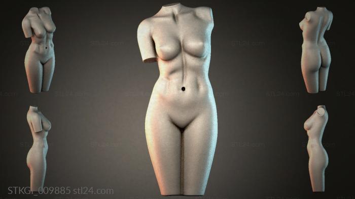 STKGI_009885 3d STL model