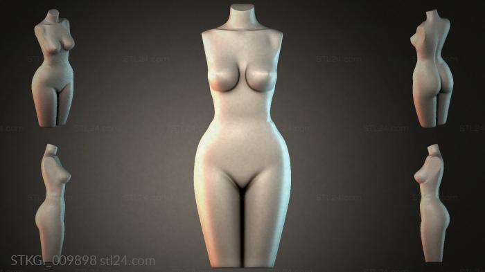 STKGI_009898 3d STL model
