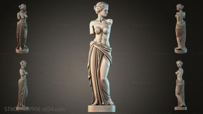STKGI_009906 3d STL model