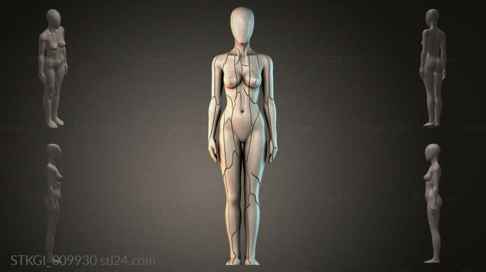 STKGI_009930 3d STL model