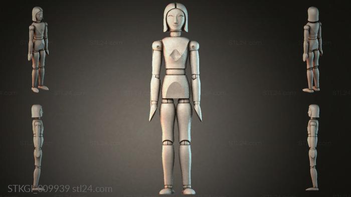 STKGI_009939 3d STL model