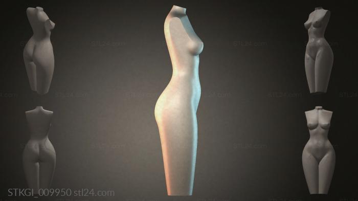 STKGI_009950 3d STL model