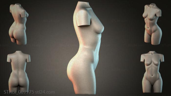 STKGI_009975 3d STL model