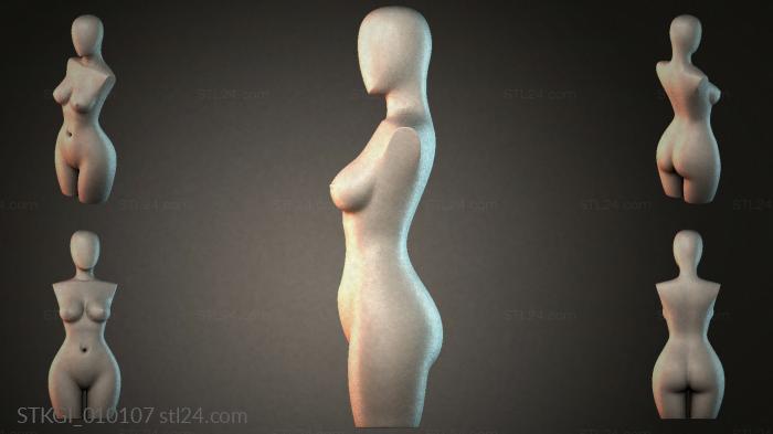 STKGI_010107 3d STL model
