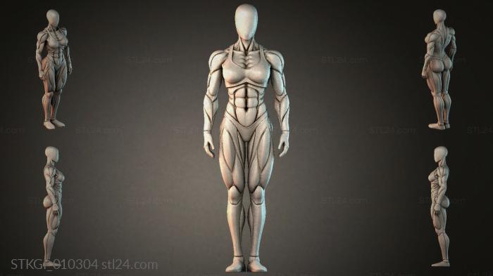 STKGI_010304 3d STL model