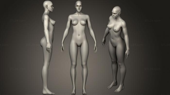 Статуэтки девушки (Основы женской анатомии человека, STKGL_0259) 3D модель для ЧПУ станка