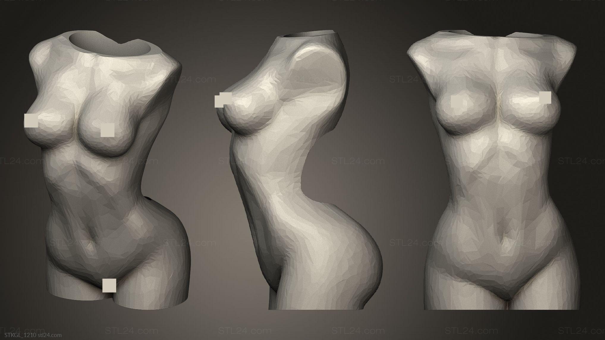 3D model (stl) Naked Woman Torso Lighter Case (2)