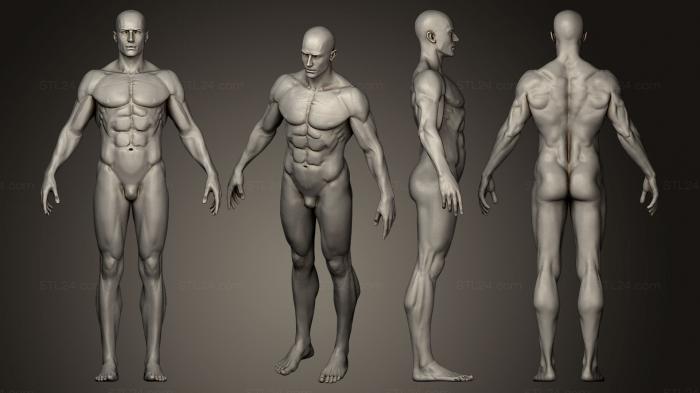 Статуэтки люди (Мужская анатомическая фигура, STKH_0100) 3D модель для ЧПУ станка