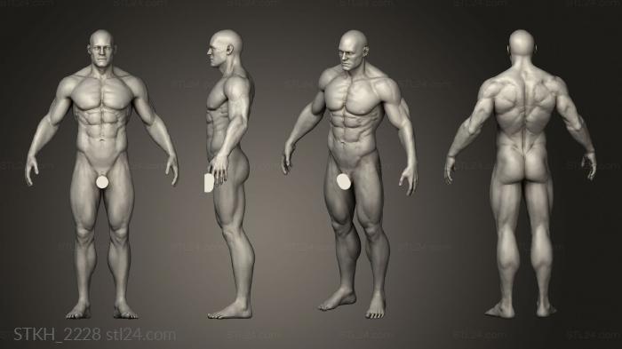 Статуэтки люди (Мужская Анатомия Зремешер, STKH_2228) 3D модель для ЧПУ станка