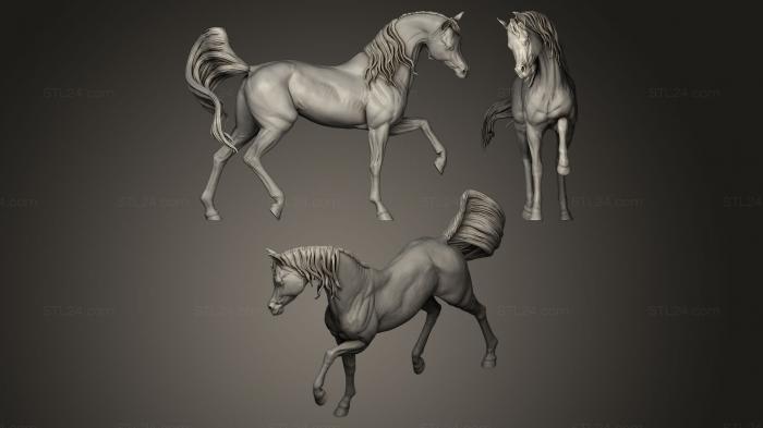 Horse sculpture plaing walk